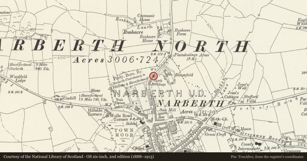 Ordnance Survey six-inch map, 2nd edition (1888–1913) covering the location of Bloomfield Terrace, Narberth, Pembrokeshire, with a pin at the register's coordinates