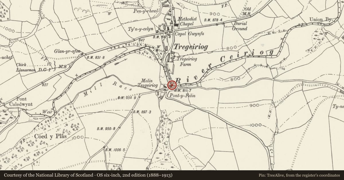 Ordnance Survey six-inch map, 2nd edition (1888–1913) covering the location of Pont y Felin, Ceiriog Ucha, Wrexham, with a pin at the register's coordinates