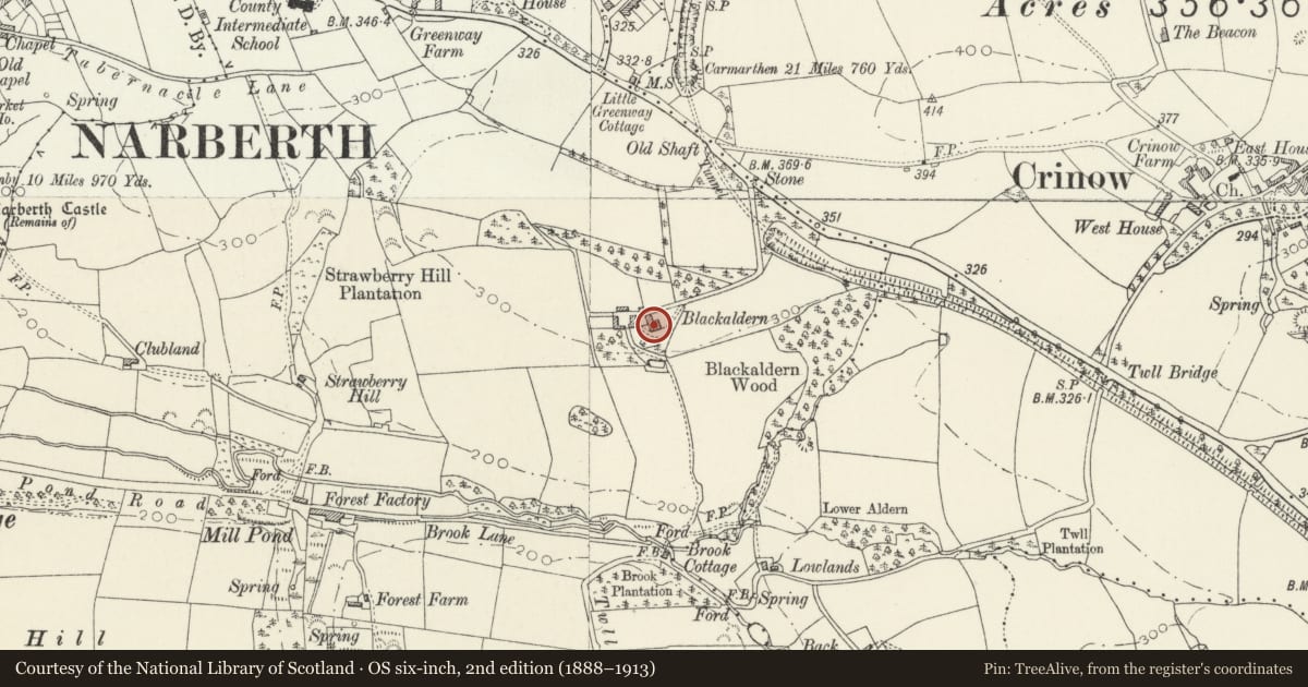 Ordnance Survey six-inch map, 2nd edition (1888–1913) covering the location of Blackaldern, Narberth, Pembrokeshire, with a pin at the register's coordinates
