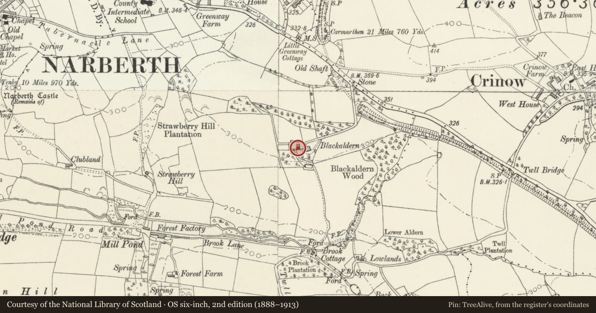 Ordnance Survey six-inch map, 2nd edition (1888–1913) covering the location of Coach House at Blackaldern, Narberth, Pembrokeshire, with a pin at the register's coordinates