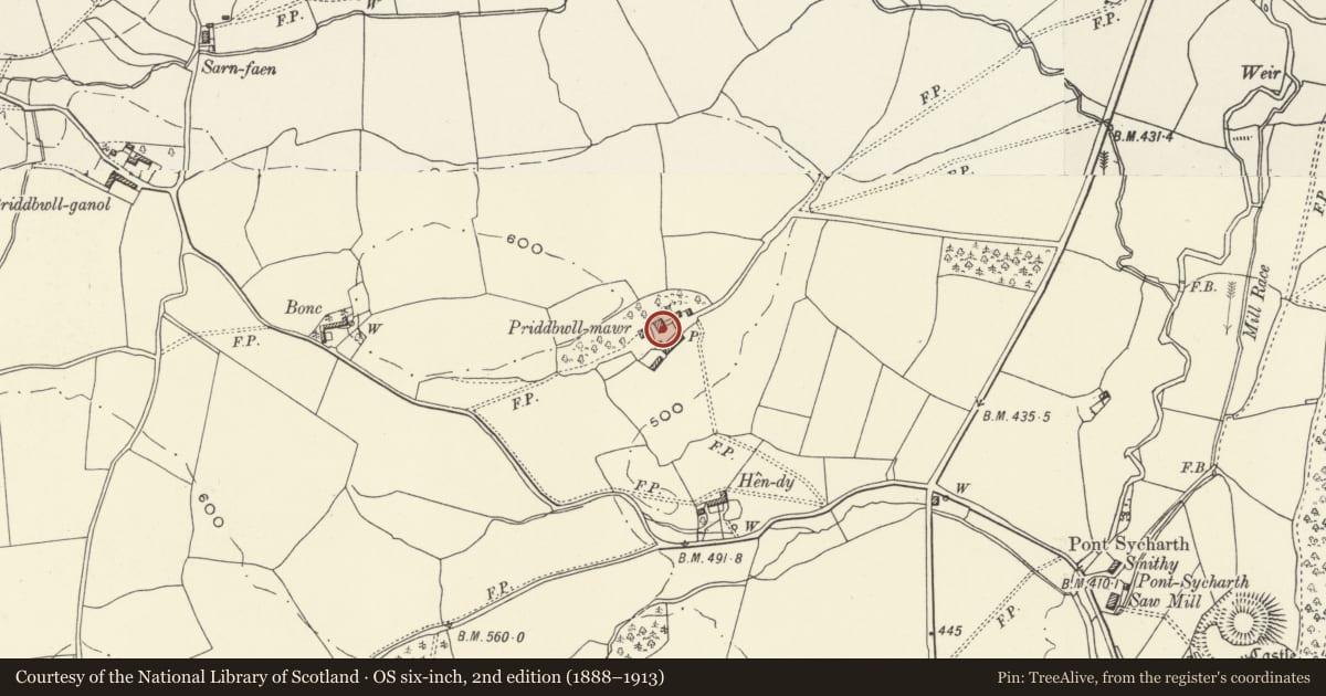 Ordnance Survey six-inch map, 2nd edition (1888–1913) covering the location of Priddbwll-mawr, Llansilin, Powys, with a pin at the register's coordinates