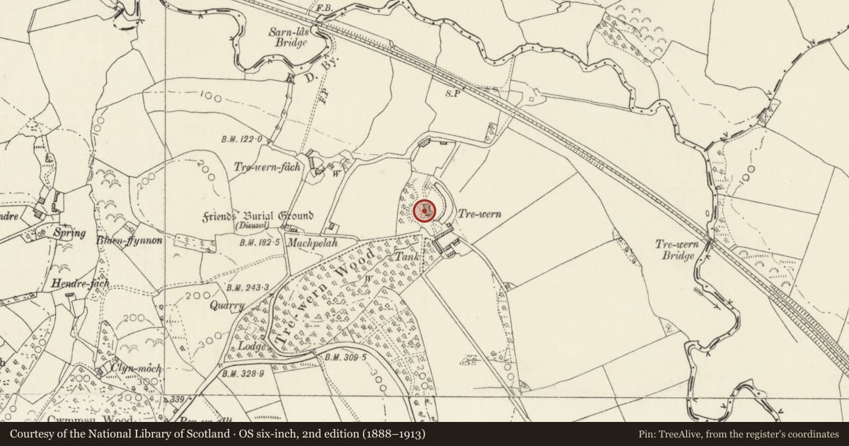 Ordnance Survey six-inch map, 2nd edition (1888–1913) covering the location of Trewern Mansion, Llanddewi Velfrey, Pembrokeshire, with a pin at the register's coordinates
