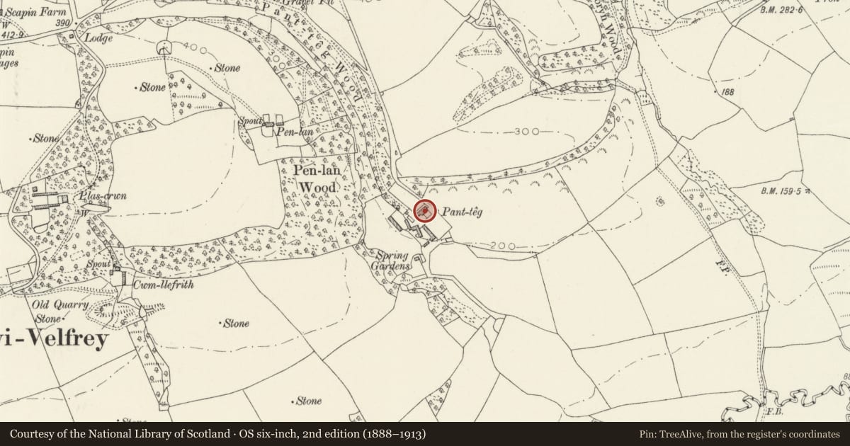 Ordnance Survey six-inch map, 2nd edition (1888–1913) covering the location of Panteg farmhouse, Llanddewi Velfrey, Pembrokeshire, with a pin at the register's coordinates