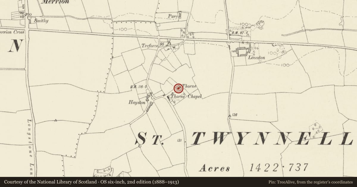 Ordnance Survey six-inch map, 2nd edition (1888–1913) covering the location of Thorne, Stackpole and Castlemartin, Pembrokeshire, with a pin at the register's coordinates