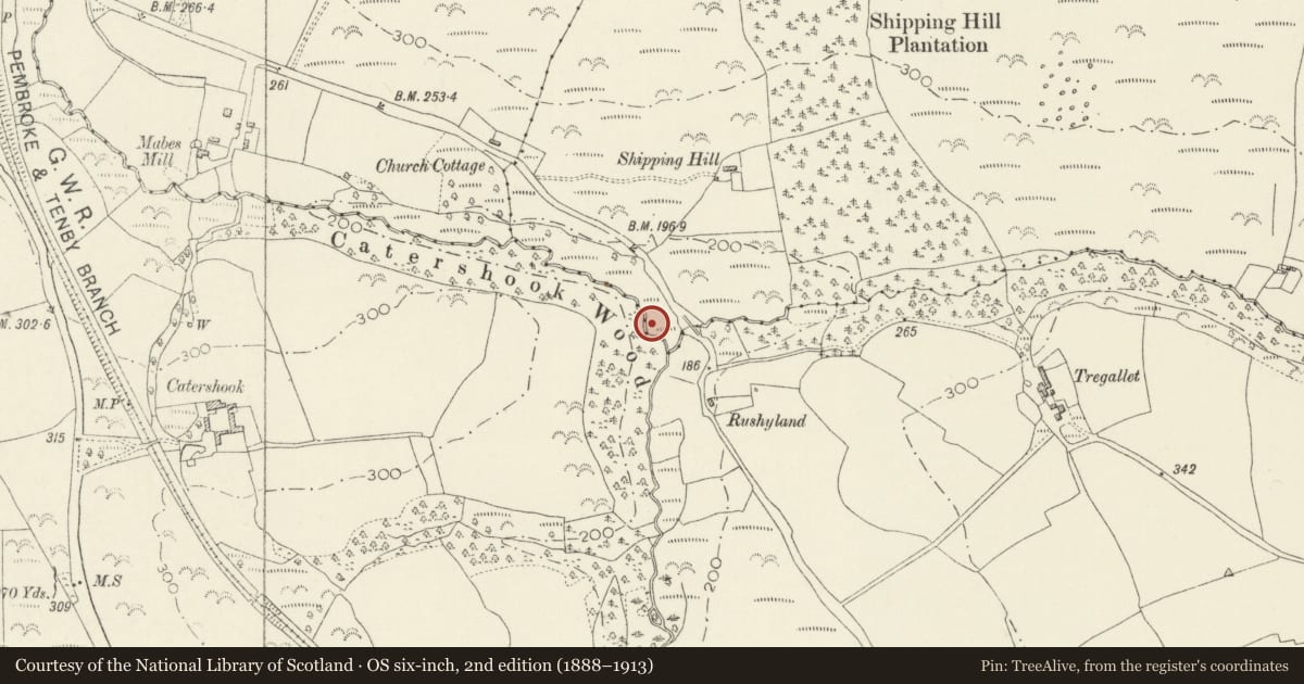 Ordnance Survey six-inch map, 2nd edition (1888–1913) covering the location of Footbridge beside the Lane through Catershook Wood, Lampeter Velfrey, Pembrokeshire, with a pin at the register's coordinates