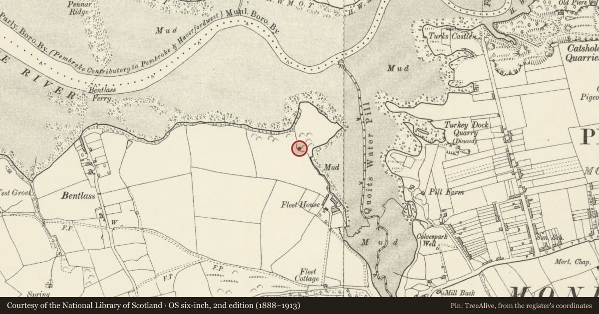 Ordnance Survey six-inch map, 2nd edition (1888–1913) covering the location of Limekiln sited 150 metres NW of Fleet Farm, Hundleton, Pembrokeshire, with a pin at the register's coordinates