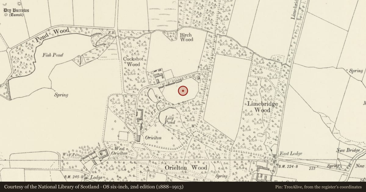 Ordnance Survey six-inch map, 2nd edition (1888–1913) covering the location of Walls of walled garden to SE of Orielton Home Farm, Hundleton, Pembrokeshire, with a pin at the register's coordinates