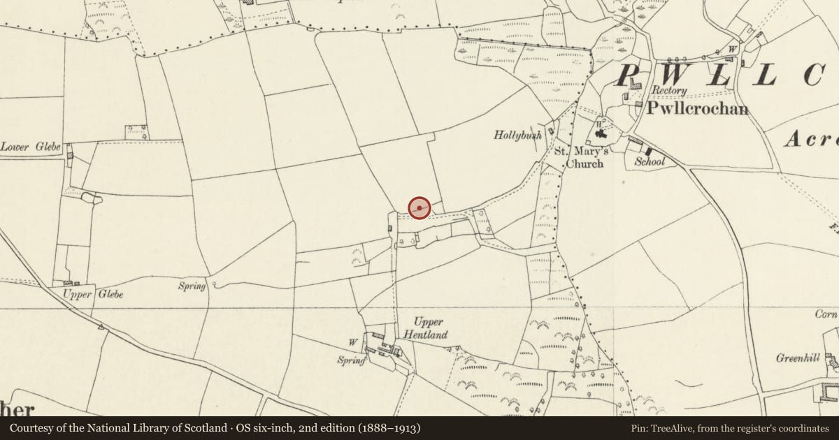 Ordnance Survey six-inch map, 2nd edition (1888–1913) covering the location of Garden Arch at Old Henllan, Angle, Pembrokeshire, with a pin at the register's coordinates