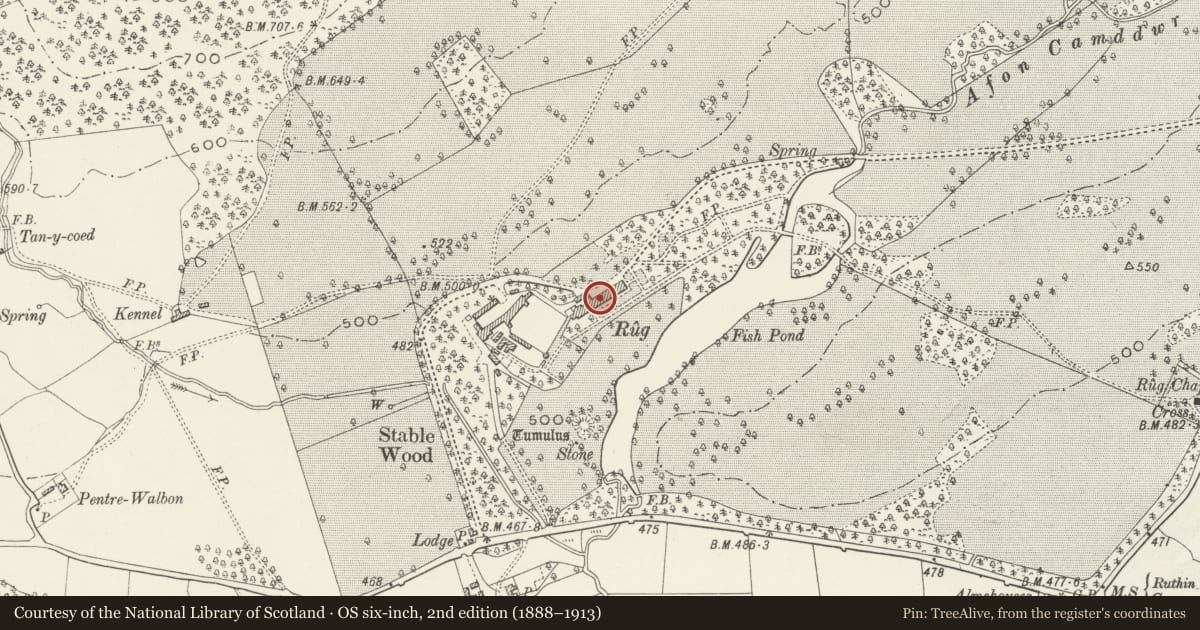 Ordnance Survey six-inch map, 2nd edition (1888–1913) covering the location of Rug, Corwen, Denbighshire, with a pin at the register's coordinates