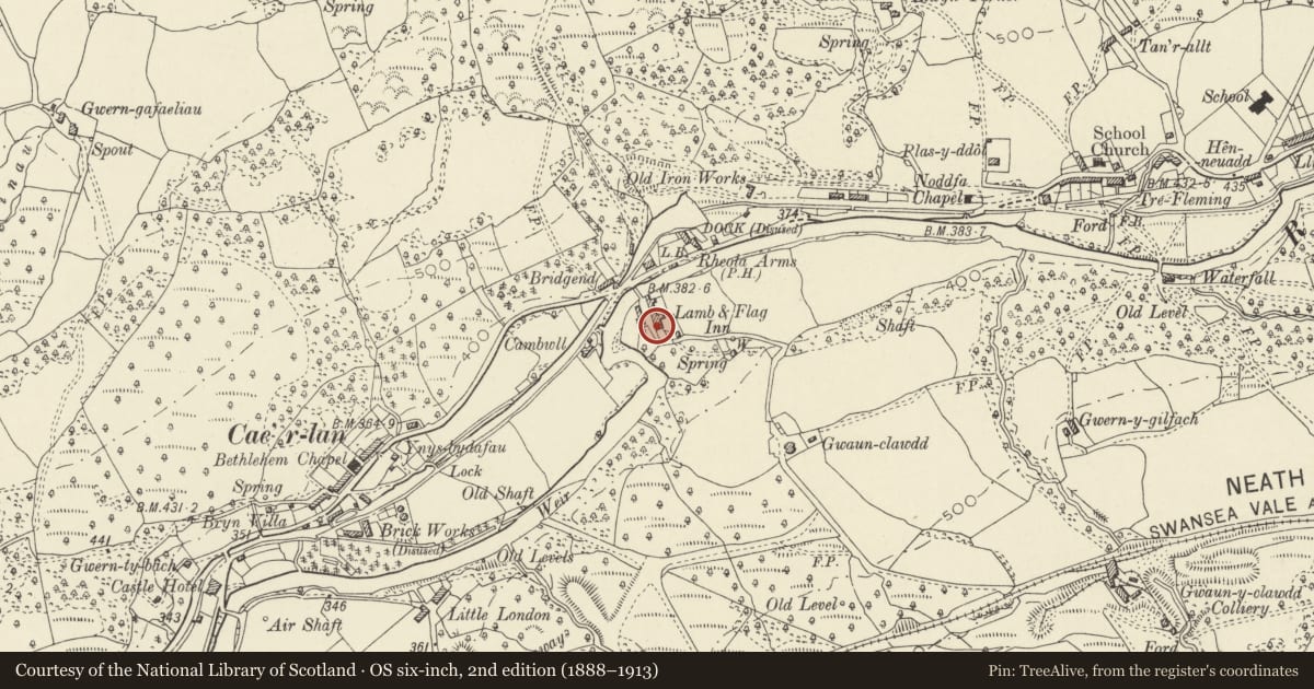 Ordnance Survey six-inch map, 2nd edition (1888–1913) covering the location of 14 Lamb & Flag Cottages (Gwaunclawdd), Ystradgynlais, Powys, with a pin at the register's coordinates