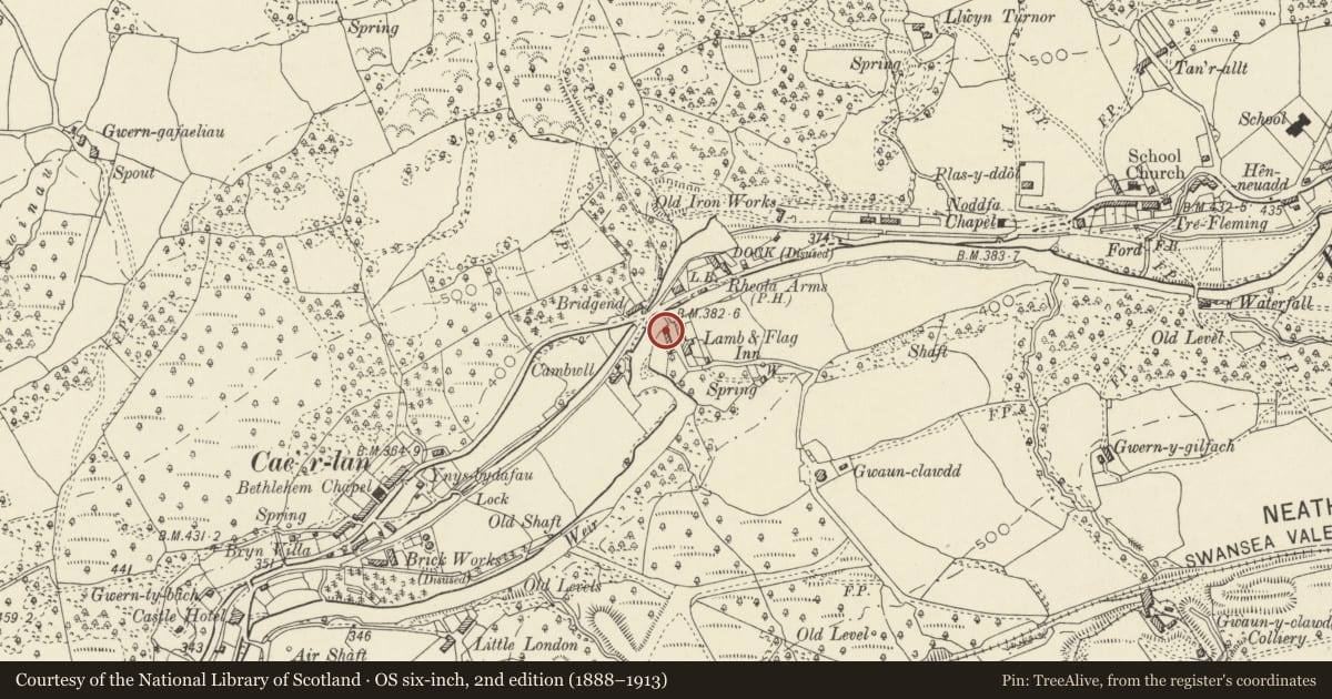 Ordnance Survey six-inch map, 2nd edition (1888–1913) covering the location of The Pound, Ystradgynlais, Powys, with a pin at the register's coordinates
