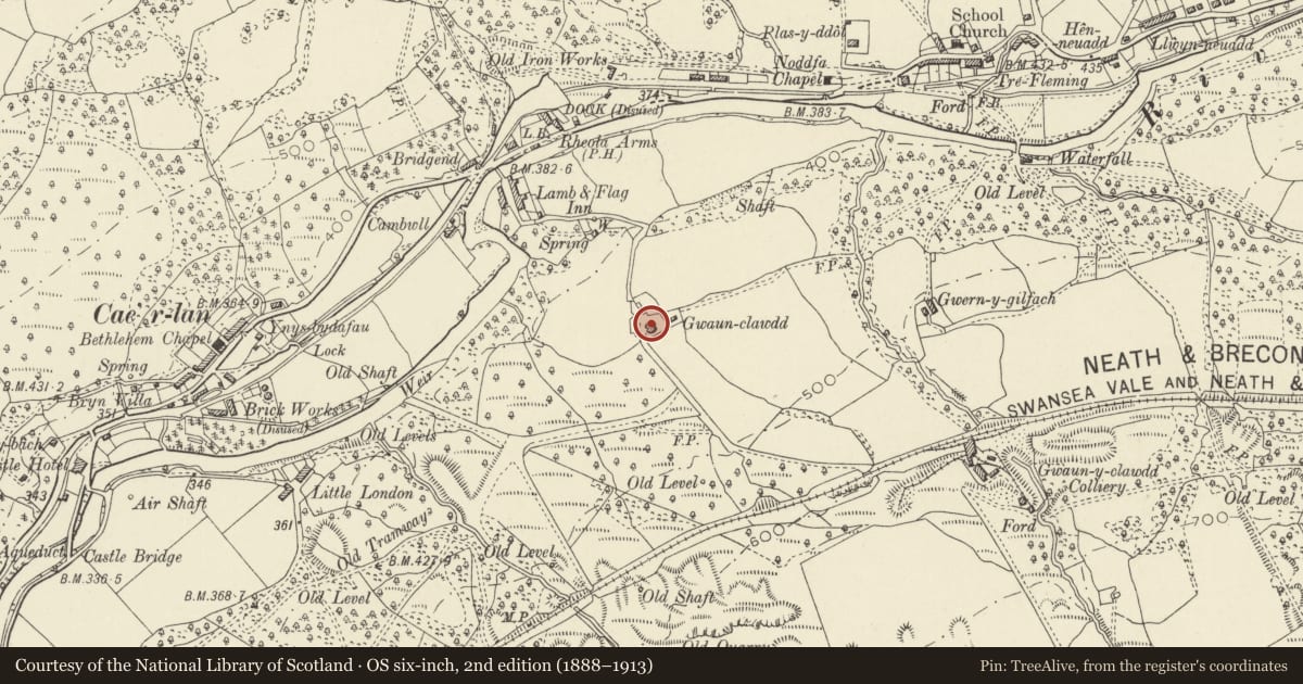 Ordnance Survey six-inch map, 2nd edition (1888–1913) covering the location of Circular cow-house at Gwaunclawdd, Ystradgynlais, Powys, with a pin at the register's coordinates