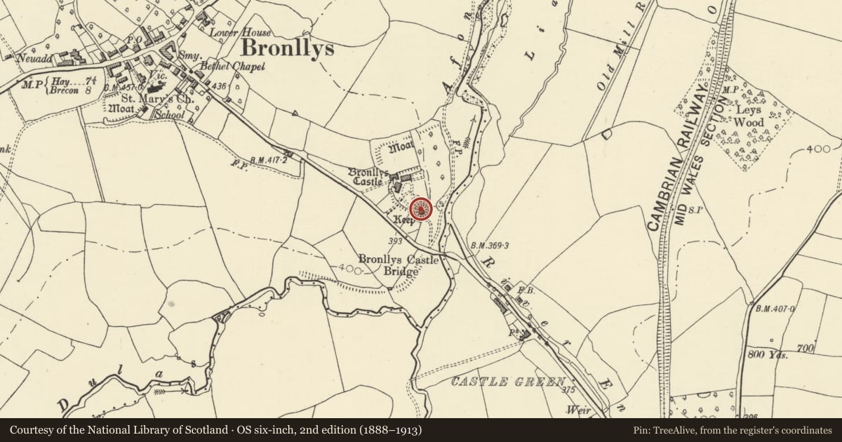 Ordnance Survey six-inch map, 2nd edition (1888–1913) covering the location of Keep at Bronllys Castle, Powys, with a pin at the register's coordinates
