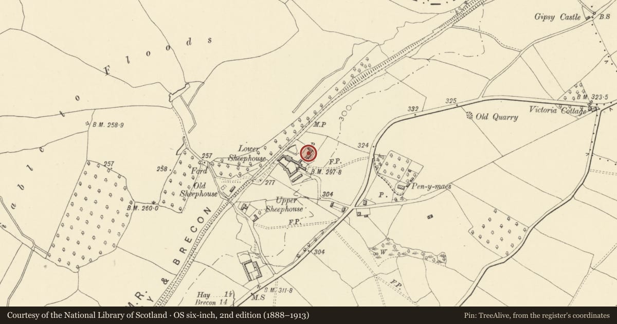 Ordnance Survey six-inch map, 2nd edition (1888–1913) covering the location of Lower Sheephouse, Llanigon, Powys, with a pin at the register's coordinates
