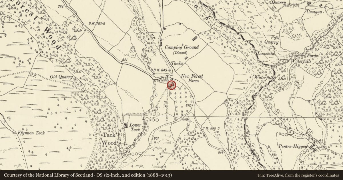 Ordnance Survey six-inch map, 2nd edition (1888–1913) covering the location of New Forest Farm, Llanigon, Powys, with a pin at the register's coordinates