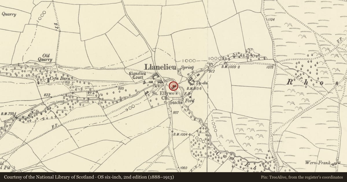 Ordnance Survey six-inch map, 2nd edition (1888–1913) covering the location of Church of St Ellywe, Talgarth, Powys, with a pin at the register's coordinates