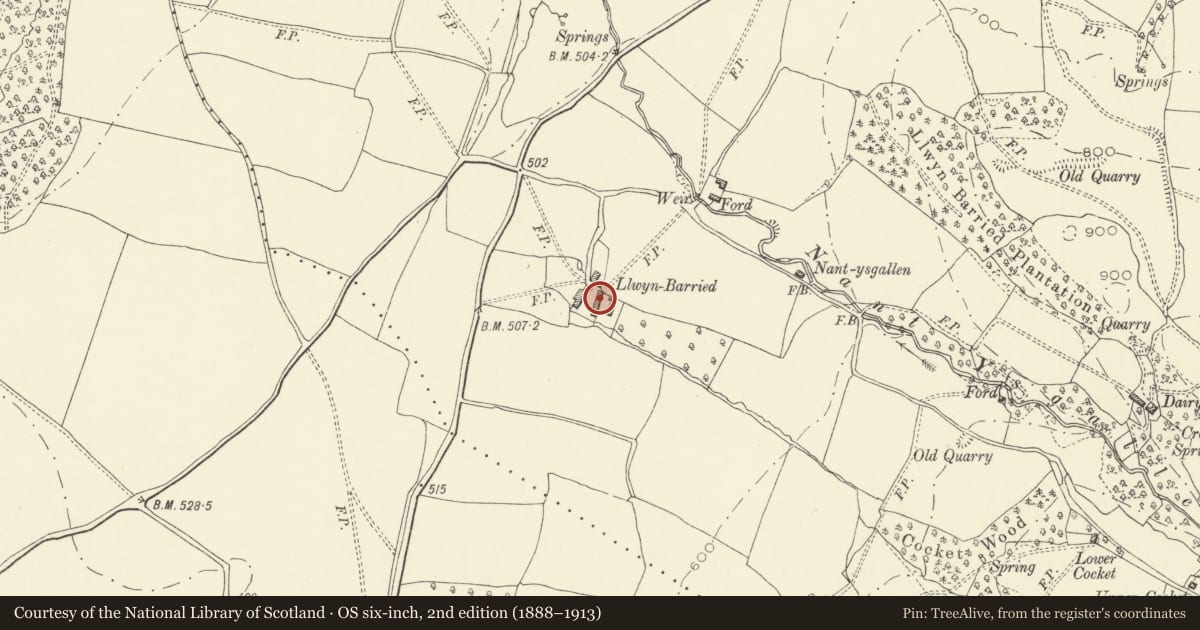 Ordnance Survey six-inch map, 2nd edition (1888–1913) covering the location of Llwynbarried Farmhouse, Llanigon, Powys, with a pin at the register's coordinates