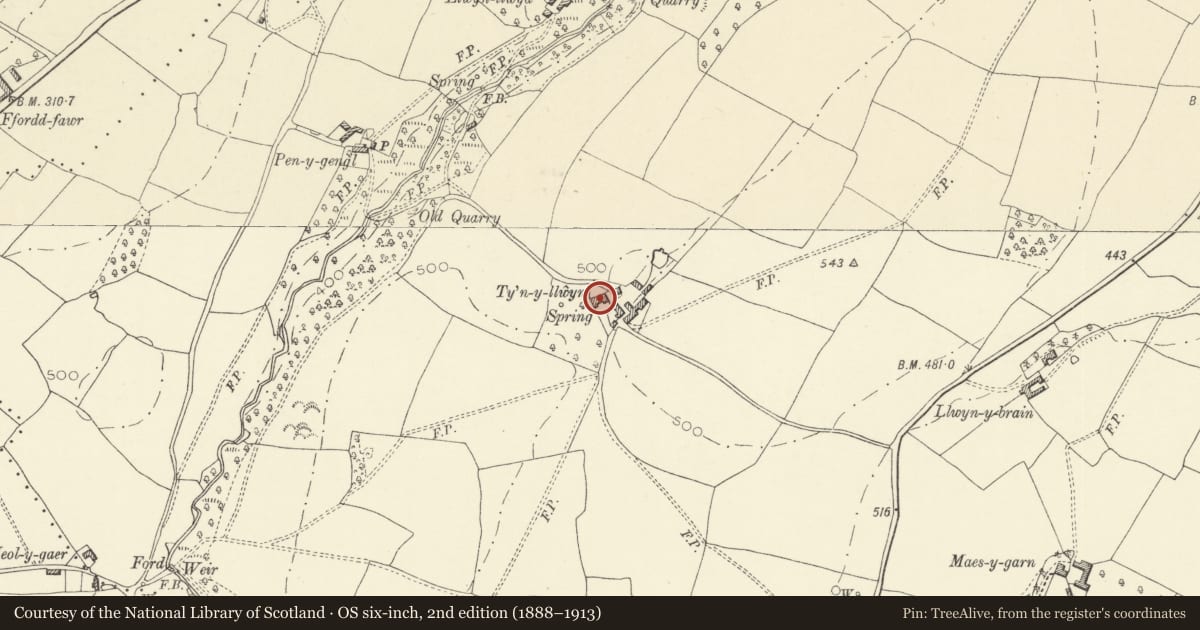 Ordnance Survey six-inch map, 2nd edition (1888–1913) covering the location of Tynllyne Farmhouse, Llanigon, Powys, with a pin at the register's coordinates
