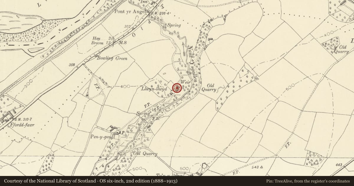Ordnance Survey six-inch map, 2nd edition (1888–1913) covering the location of Llwynllwyd Barn, Llanigon, Powys, with a pin at the register's coordinates