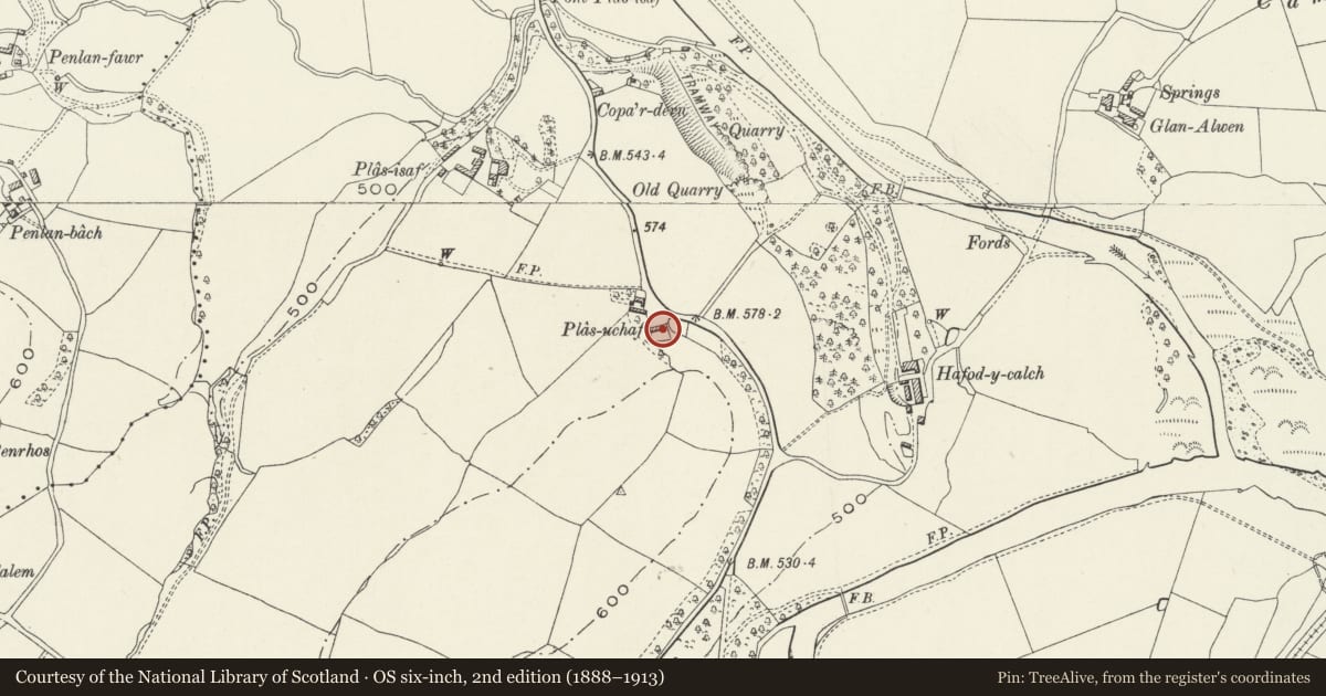 Ordnance Survey six-inch map, 2nd edition (1888–1913) covering the location of Plas Ucha, Cynwyd, Denbighshire, with a pin at the register's coordinates