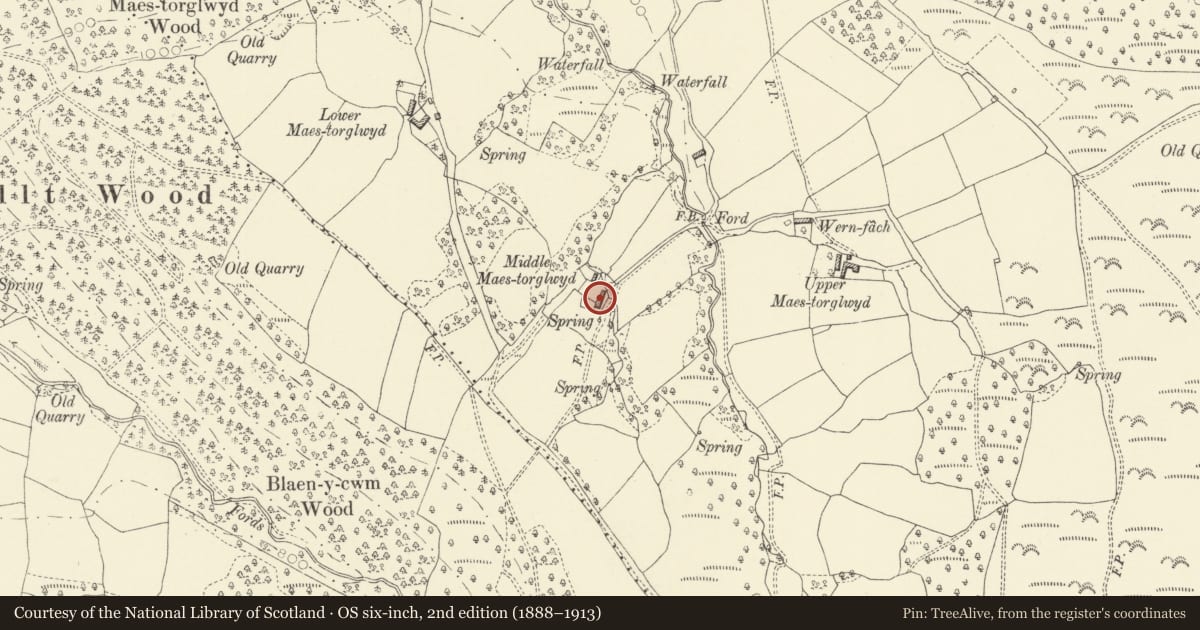 Ordnance Survey six-inch map, 2nd edition (1888–1913) covering the location of Middle Maestorglwydd House, Llanigon, Powys, with a pin at the register's coordinates