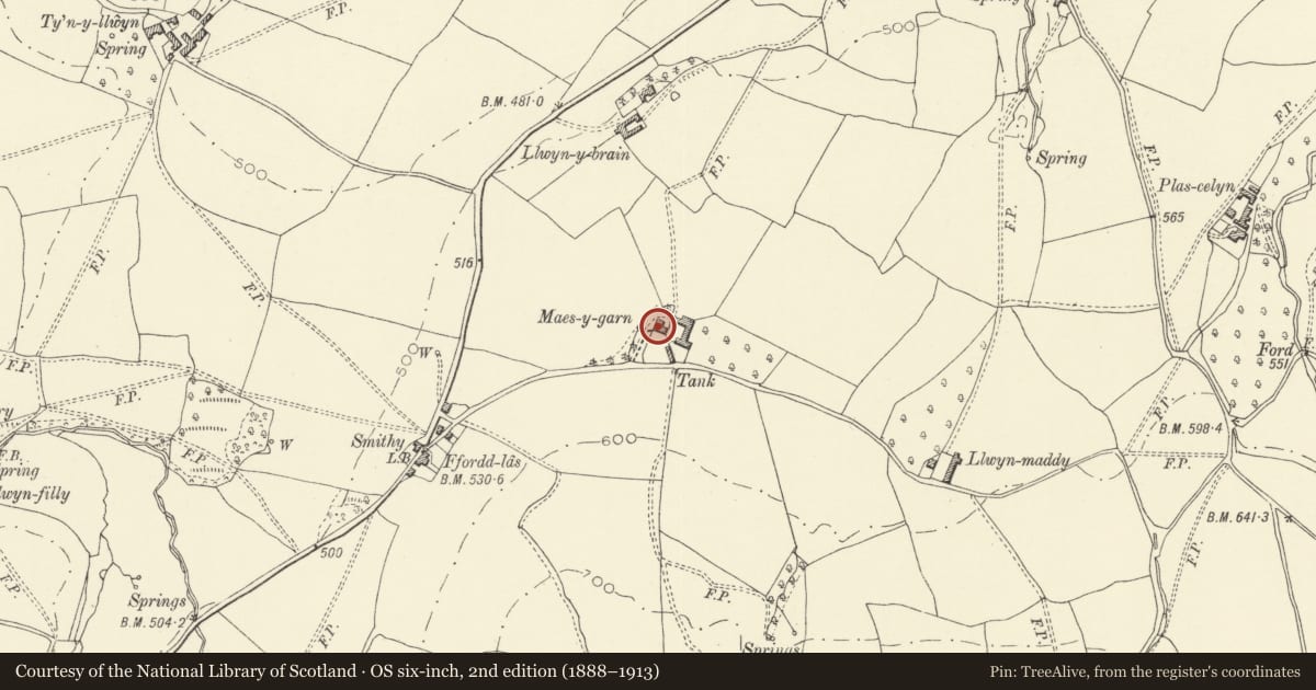 Ordnance Survey six-inch map, 2nd edition (1888–1913) covering the location of Maes-y-garn Farmhouse, Llanigon, Powys, with a pin at the register's coordinates