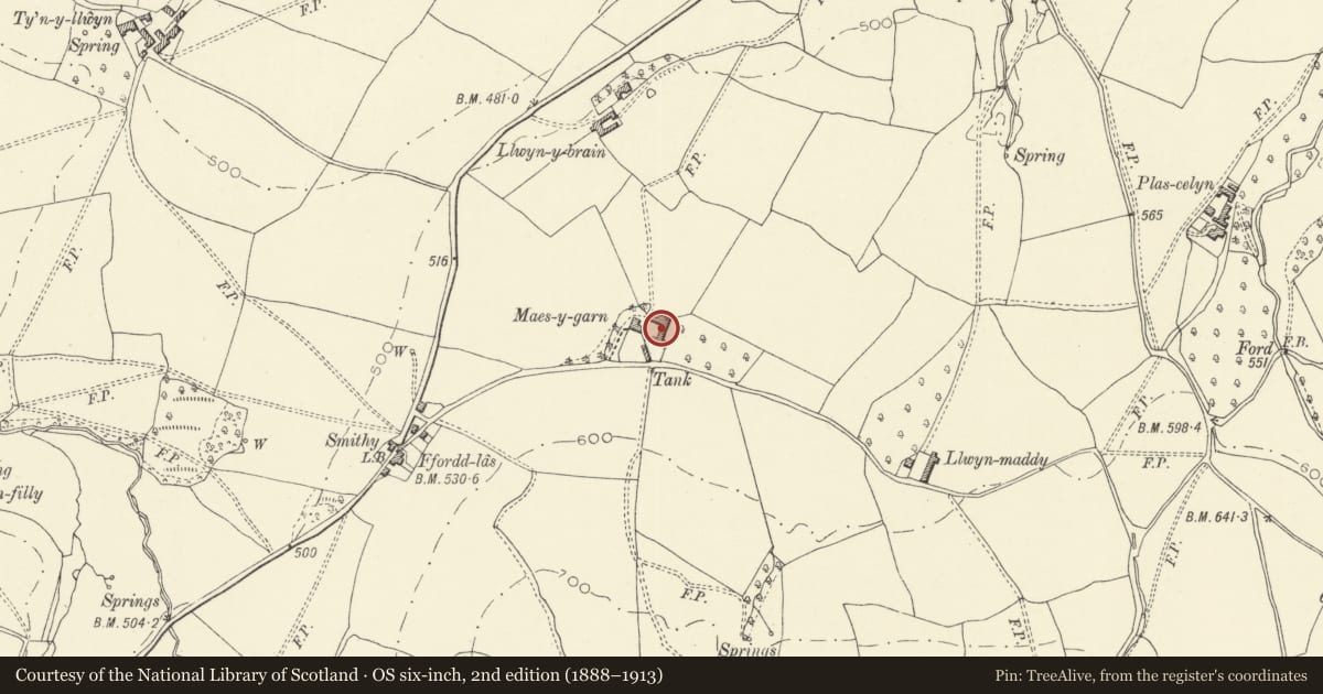 Ordnance Survey six-inch map, 2nd edition (1888–1913) covering the location of Agricultural Range to rear of Maes-y-garn Farmhouse, Llanigon, Powys, with a pin at the register's coordinates