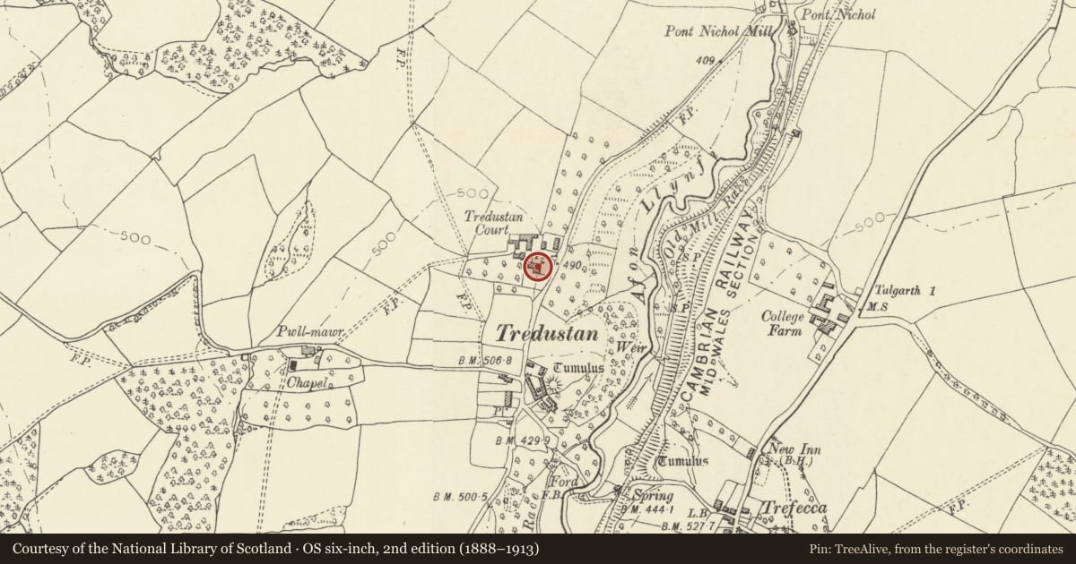 Ordnance Survey six-inch map, 2nd edition (1888–1913) covering the location of Tredustan Court, Talgarth, Powys, with a pin at the register's coordinates