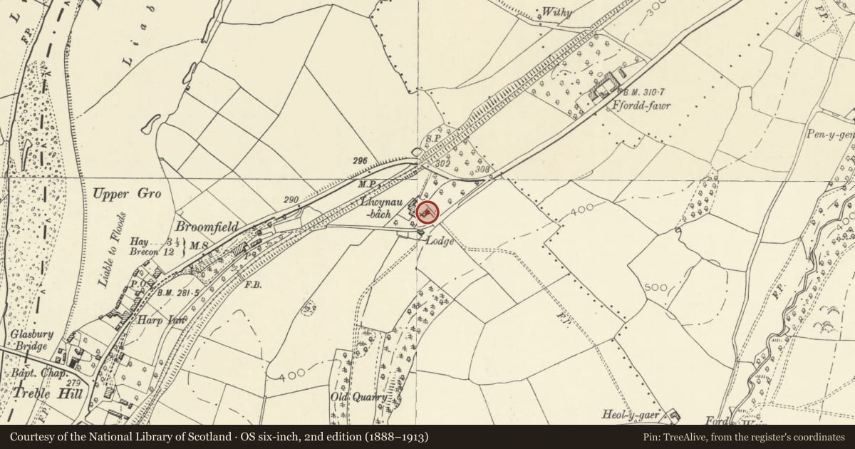 Ordnance Survey six-inch map, 2nd edition (1888–1913) covering the location of Stables at Llwynau-bach Lodge Hotel, Gwernyfed, Powys, with a pin at the register's coordinates