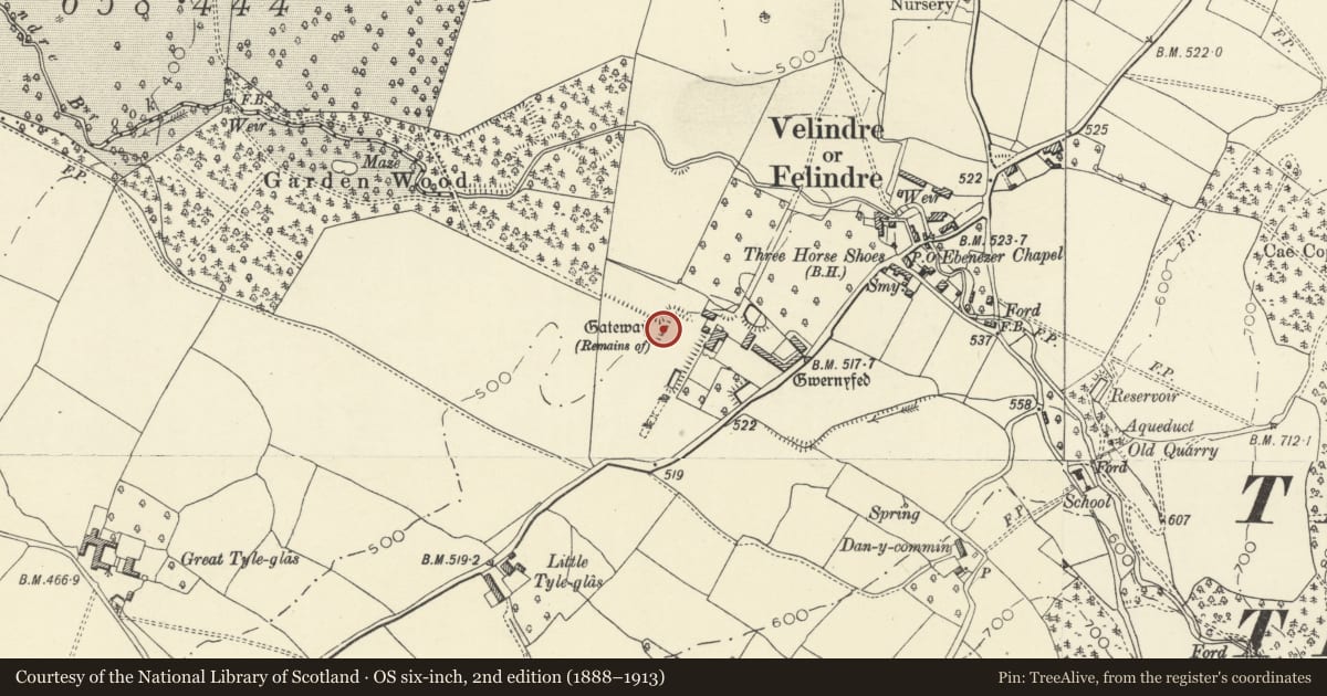 Ordnance Survey six-inch map, 2nd edition (1888–1913) covering the location of Garden gatepiers to a cross terrace in the formal W gardens at Old Gwernyfed, Powys, with a pin at the register's coordinates