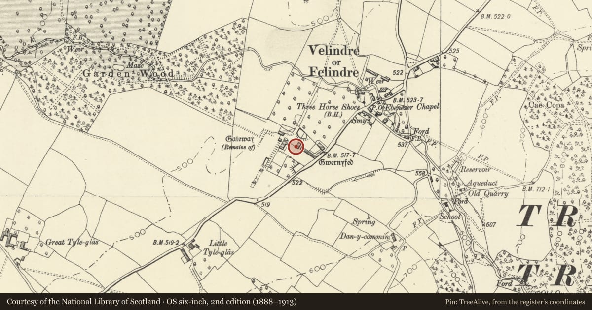 Ordnance Survey six-inch map, 2nd edition (1888–1913) covering the location of North Tower in inner front garden, with the garden boundary wall leading to the NE wing of the house, Gwernyfed, Powys, with a pin at the register's coordinates