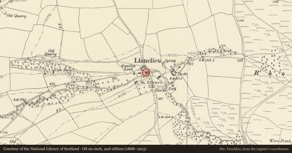 Ordnance Survey six-inch map, 2nd edition (1888–1913) covering the location of Llanelieu Court, Talgarth, Powys, with a pin at the register's coordinates