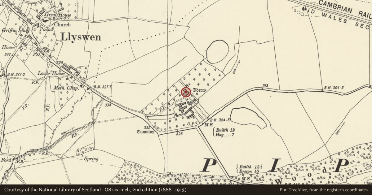 Ordnance Survey six-inch map, 2nd edition (1888–1913) covering the location of Y Dderw, Bronllys, Powys, with a pin at the register's coordinates