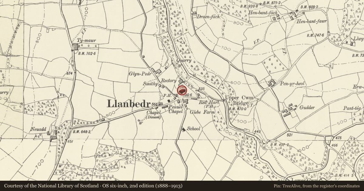 Ordnance Survey six-inch map, 2nd edition (1888–1913) covering the location of Church of St Peter, The Vale of Grwyney, Powys, with a pin at the register's coordinates