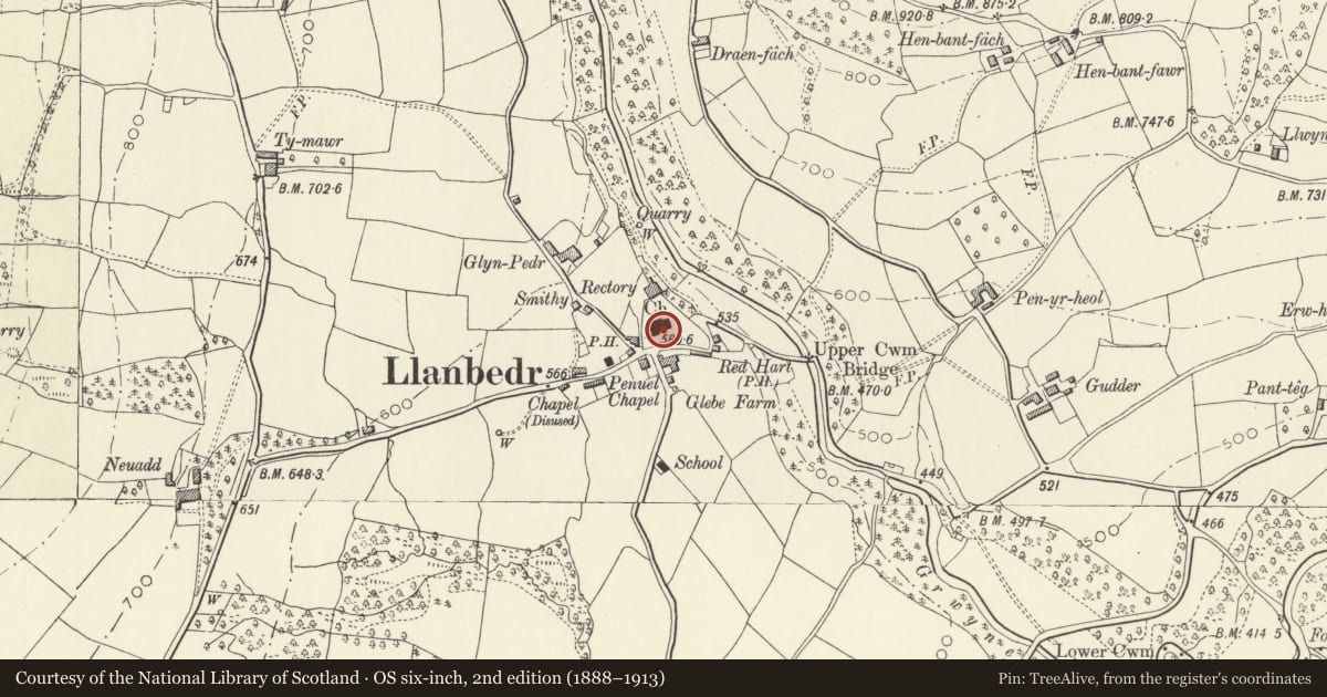 Ordnance Survey six-inch map, 2nd edition (1888–1913) covering the location of Churchyard Cross at the Church of St Peter, The Vale of Grwyney, Powys, with a pin at the register's coordinates