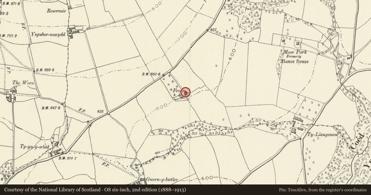 Ordnance Survey six-inch map, 2nd edition (1888–1913) covering the location of Y Fro, The Vale of Grwyney, Powys, with a pin at the register's coordinates
