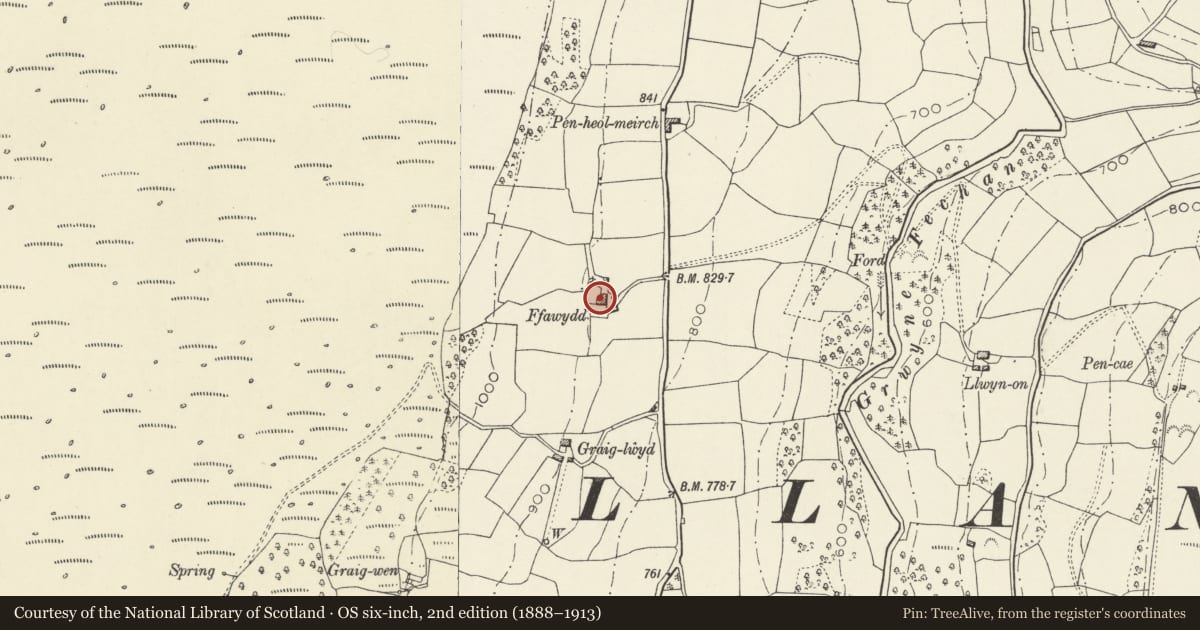 Ordnance Survey six-inch map, 2nd edition (1888–1913) covering the location of Ffawydd including stone cattle ramp at downhill end, The Vale of Grwyney, Powys, with a pin at the register's coordinates