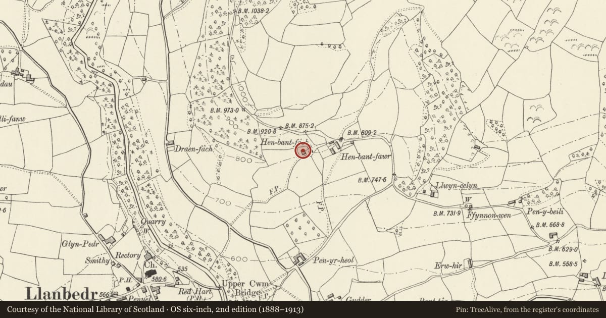 Ordnance Survey six-inch map, 2nd edition (1888–1913) covering the location of Henbant Fach, The Vale of Grwyney, Powys, with a pin at the register's coordinates