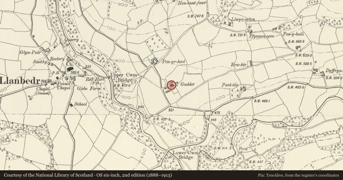 Ordnance Survey six-inch map, 2nd edition (1888–1913) covering the location of Gudder, The Vale of Grwyney, Powys, with a pin at the register's coordinates