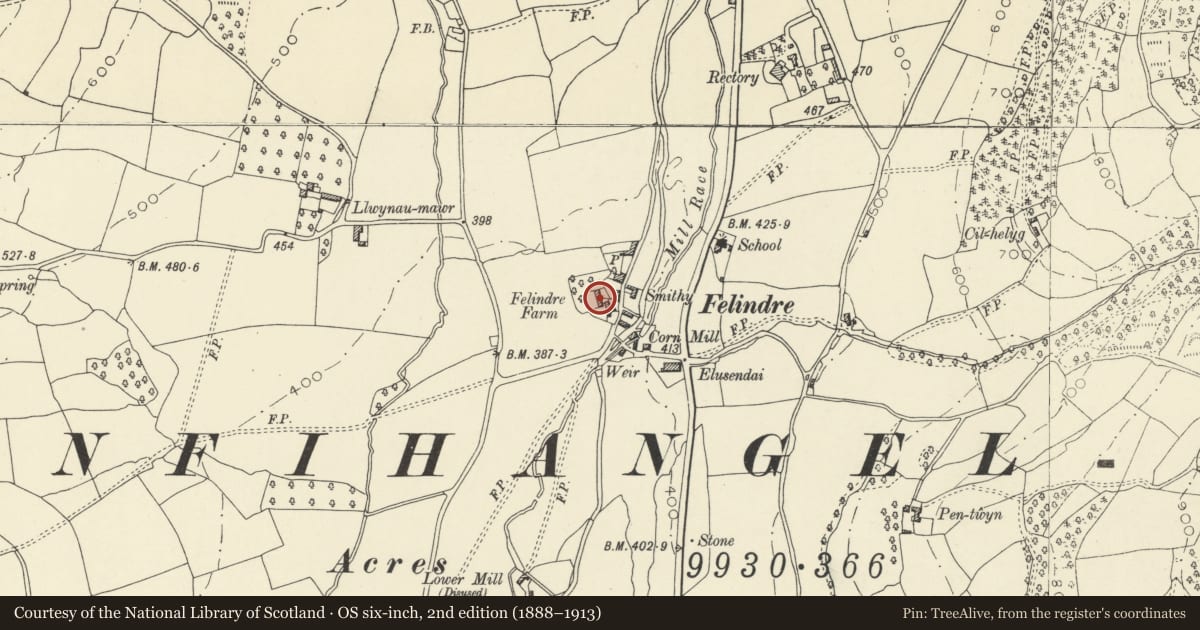 Ordnance Survey six-inch map, 2nd edition (1888–1913) covering the location of Felindre Farmhouse, Llanfihangel Cwmdu with Bwlch and Cathedine, Powys, with a pin at the register's coordinates
