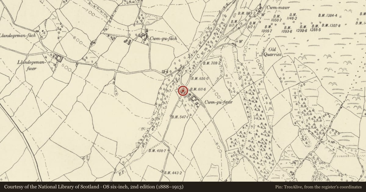 Ordnance Survey six-inch map, 2nd edition (1888–1913) covering the location of Cwm Gu Cottage including attached barn, Llanfihangel Cwmdu with Bwlch and Cathedine, Powys, with a pin at the register's coordinates