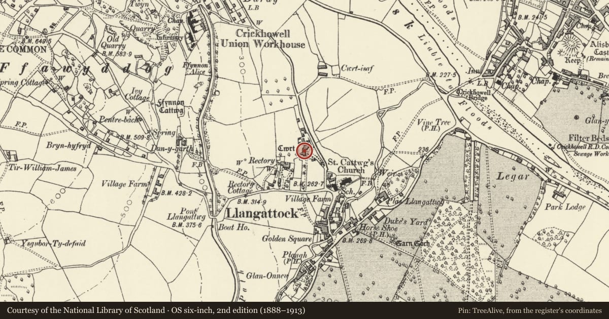 Ordnance Survey six-inch map, 2nd edition (1888–1913) covering the location of Cwrt Llangattock, Powys, with a pin at the register's coordinates
