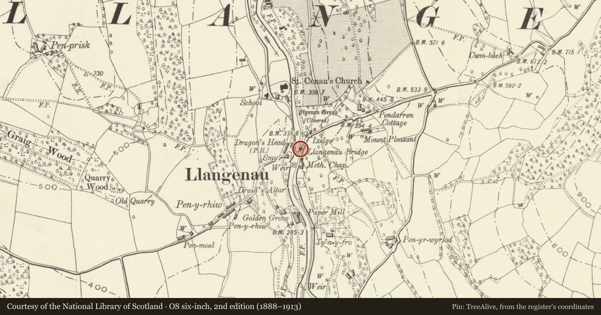 Ordnance Survey six-inch map, 2nd edition (1888–1913) covering the location of Llangenny Bridge, The Vale of Grwyney, Powys, with a pin at the register's coordinates