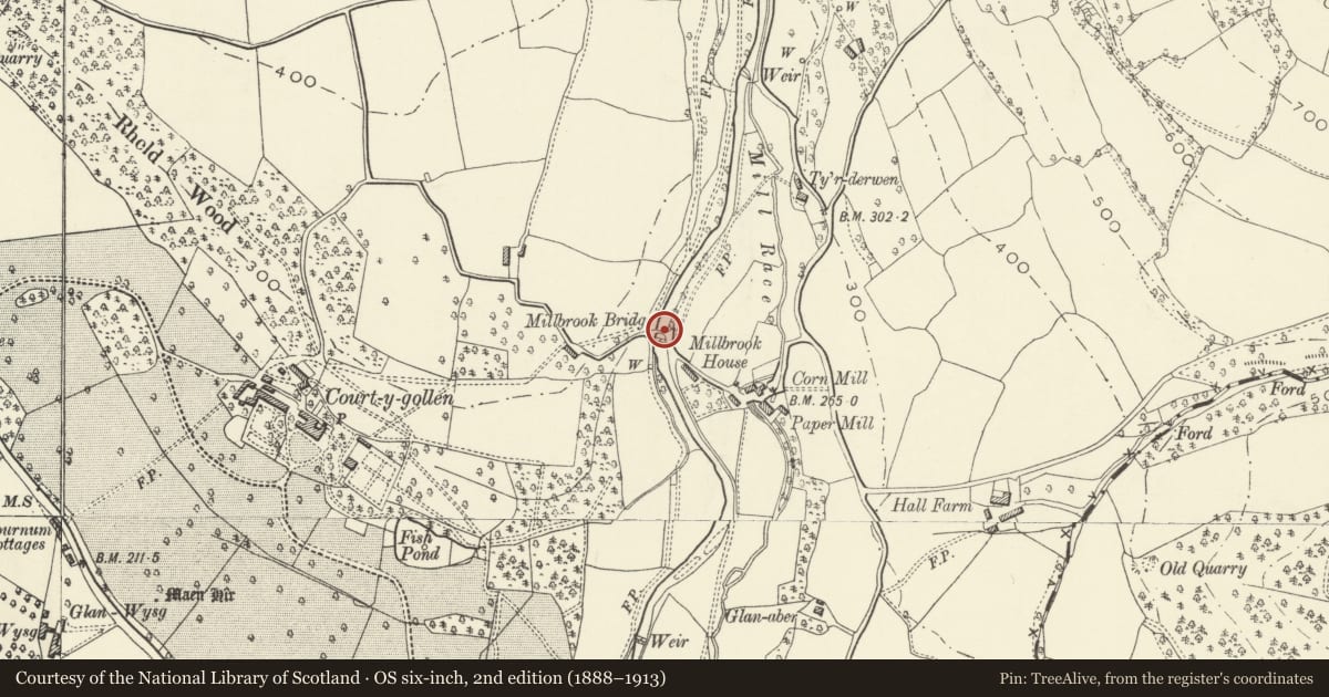 Ordnance Survey six-inch map, 2nd edition (1888–1913) covering the location of Millbrook Bridge, The Vale of Grwyney, Powys, with a pin at the register's coordinates