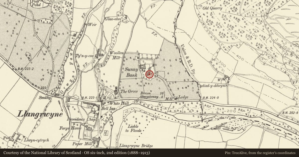 Ordnance Survey six-inch map, 2nd edition (1888–1913) covering the location of Glangrwyne Court, The Vale of Grwyney, Powys, with a pin at the register's coordinates