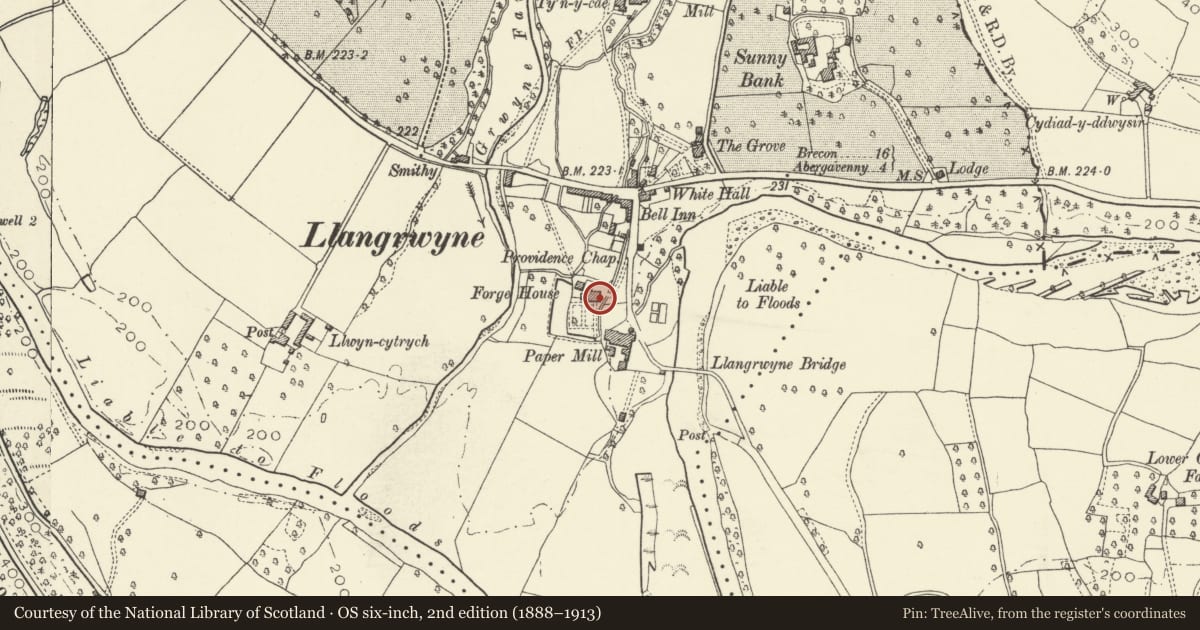 Ordnance Survey six-inch map, 2nd edition (1888–1913) covering the location of Forge House, The Vale of Grwyney, Powys, with a pin at the register's coordinates