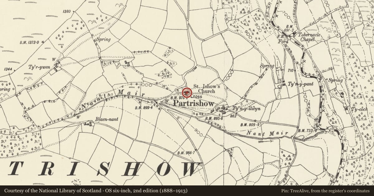 Ordnance Survey six-inch map, 2nd edition (1888–1913) covering the location of Churchyard cross at Church of St Issui, Partrishow, The Vale of Grwyney, Powys, with a pin at the register's coordinates
