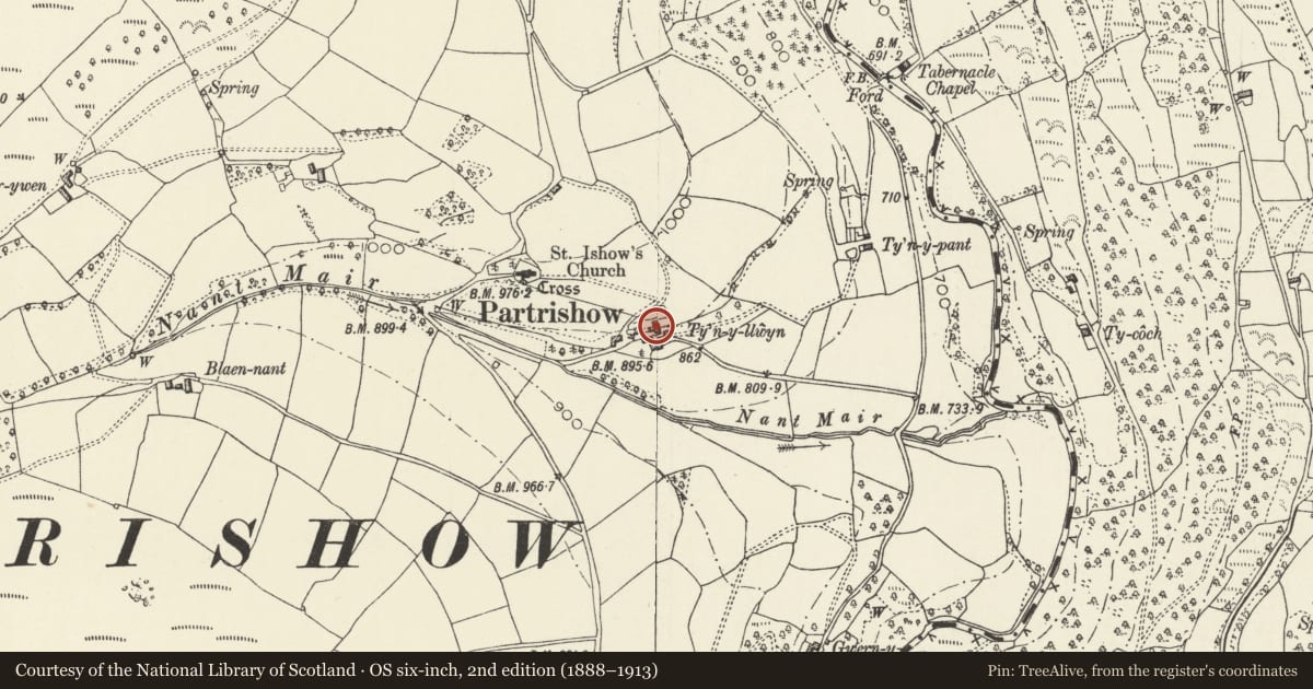 Ordnance Survey six-inch map, 2nd edition (1888–1913) covering the location of Tynyllwyn, The Vale of Grwyney, Powys, with a pin at the register's coordinates