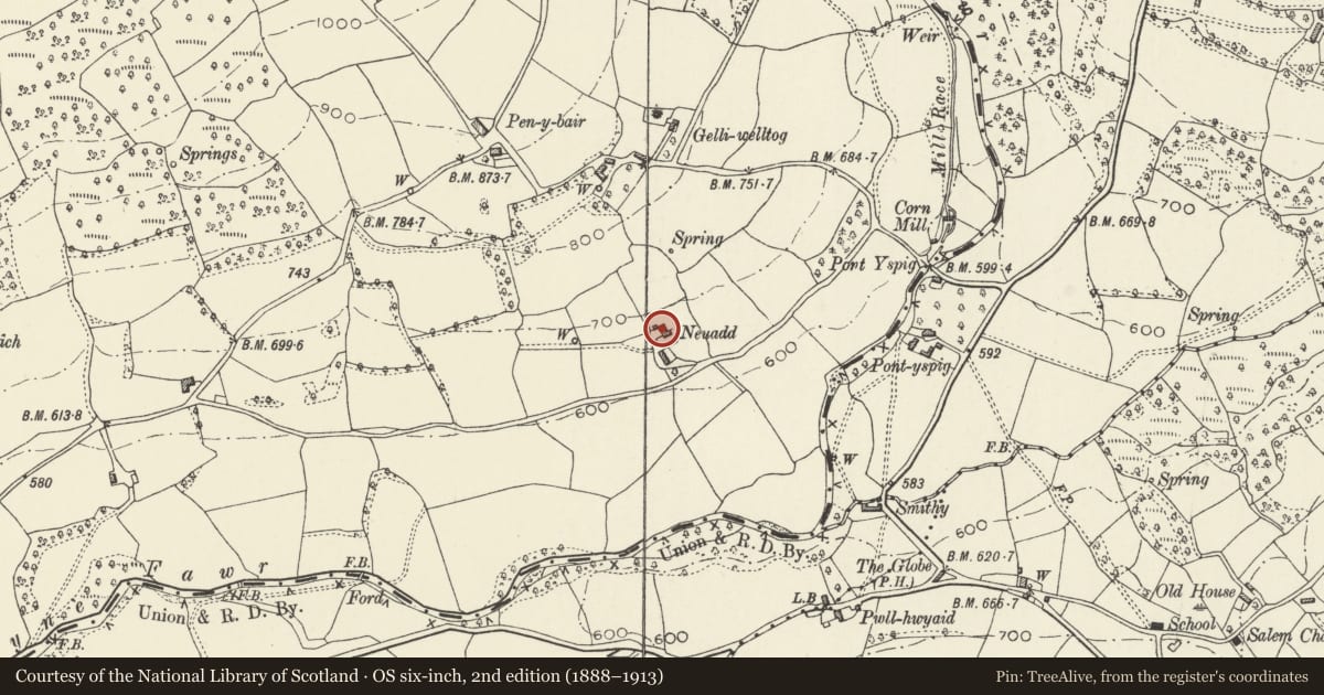 Ordnance Survey six-inch map, 2nd edition (1888–1913) covering the location of Neuadd, The Vale of Grwyney, Powys, with a pin at the register's coordinates