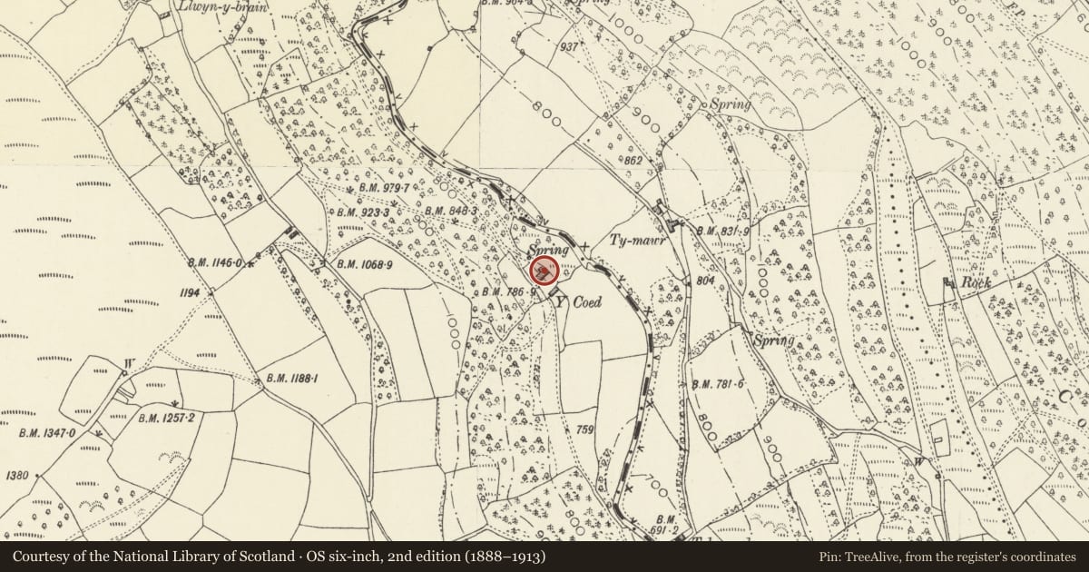 Ordnance Survey six-inch map, 2nd edition (1888–1913) covering the location of Y Coed including attached former byre, The Vale of Grwyney, Powys, with a pin at the register's coordinates